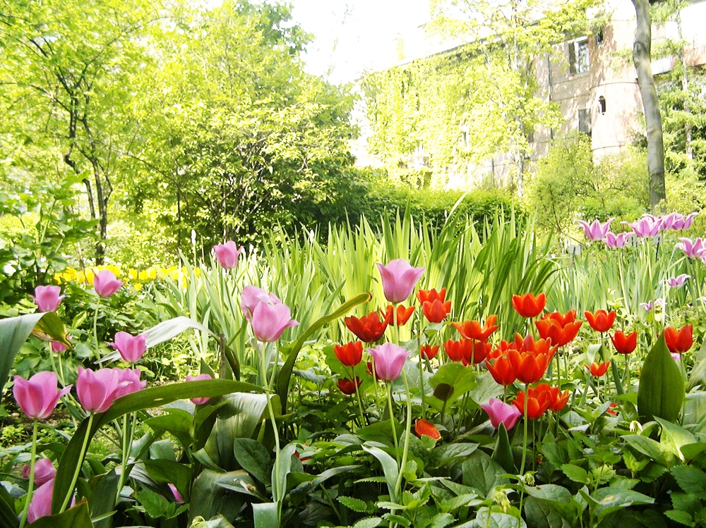 MICHELE DEL RE, IL SEGRETO DEL GIARDINO DEL SOGNO