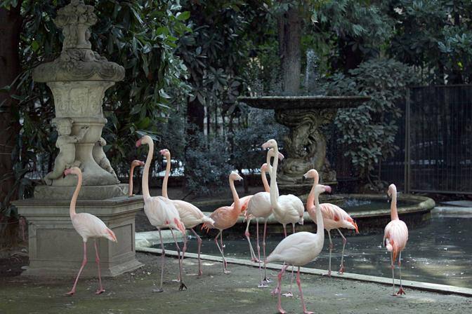 MICHELE DEL RE, IL SEGRETO DEL GIARDINO DEL SOGNO